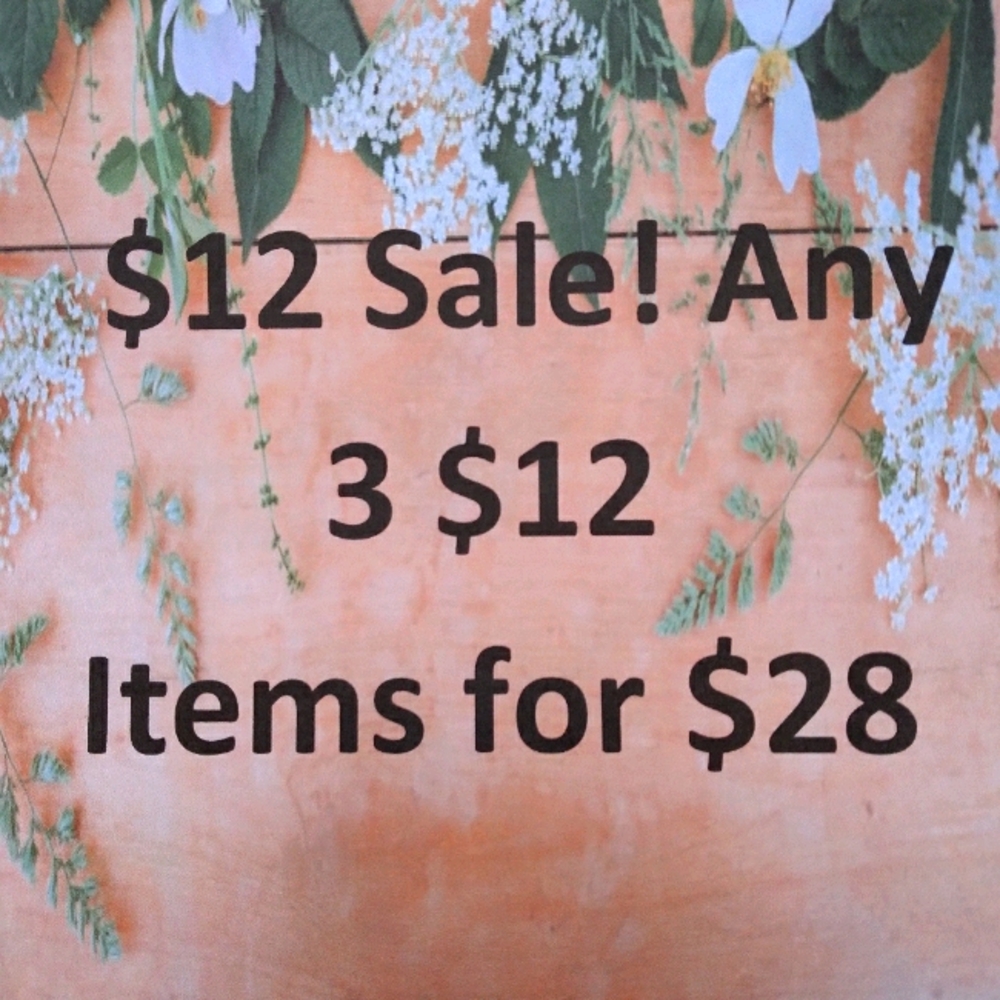 $12 Sale! Any 3 $12 Items for $28